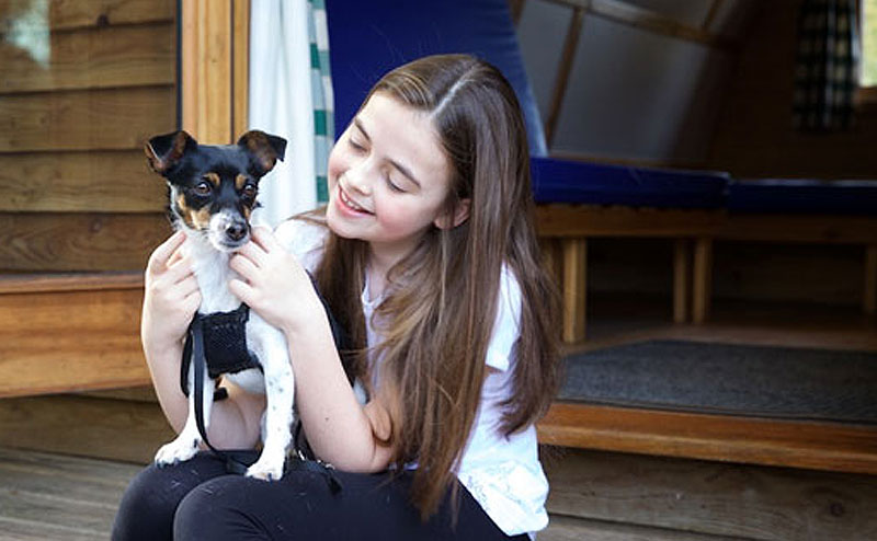 Pet-Friendly Holidays